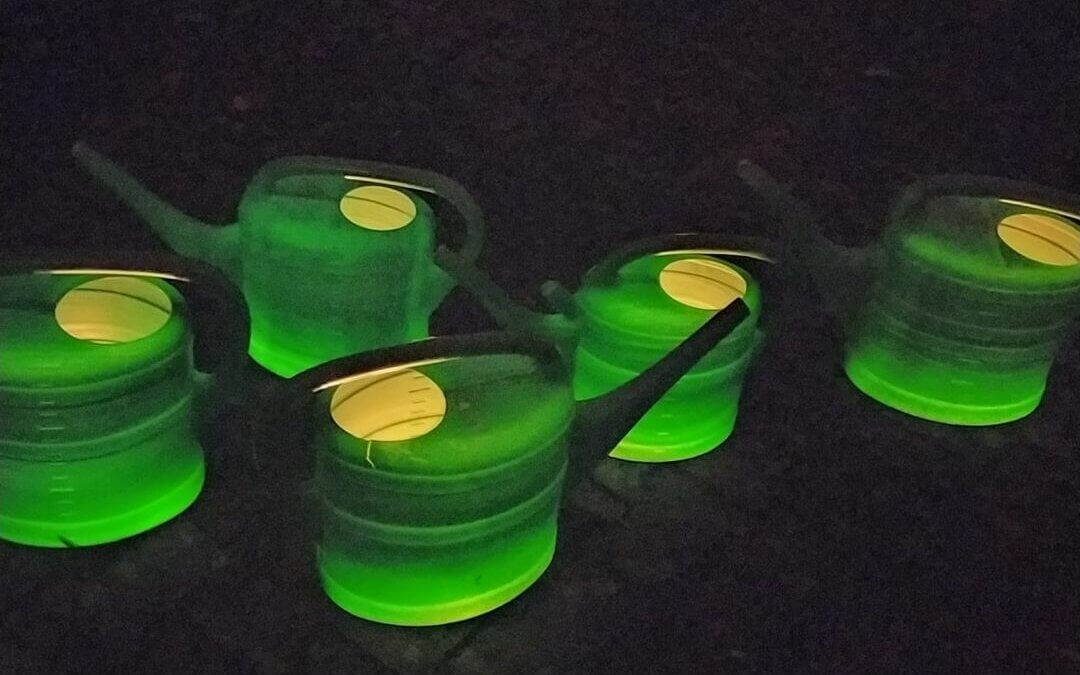 Ajas Luminale