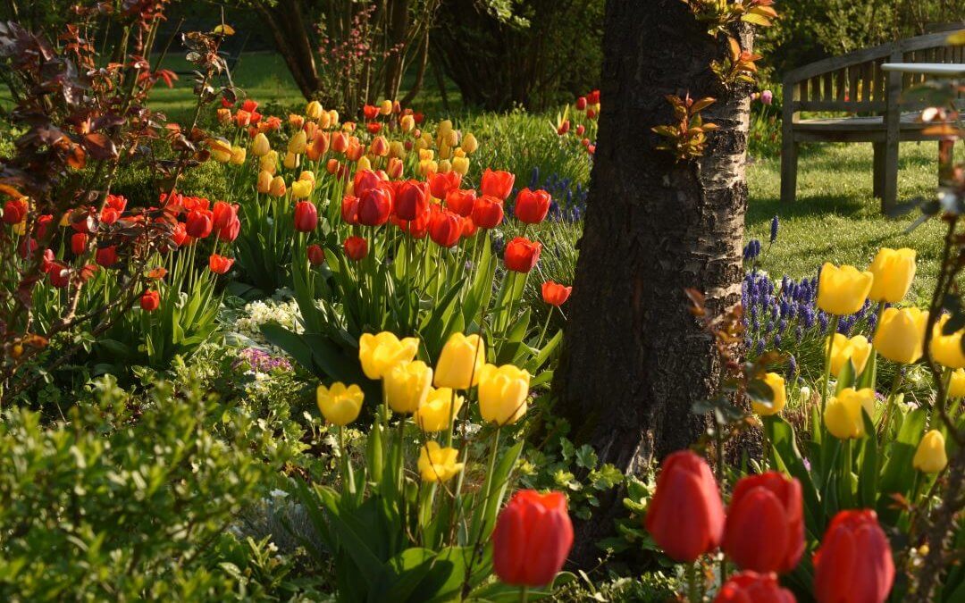 Die Natur des Gartens