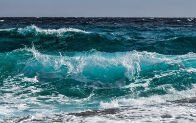 Schwimmen im Meer der Verrücktheit …