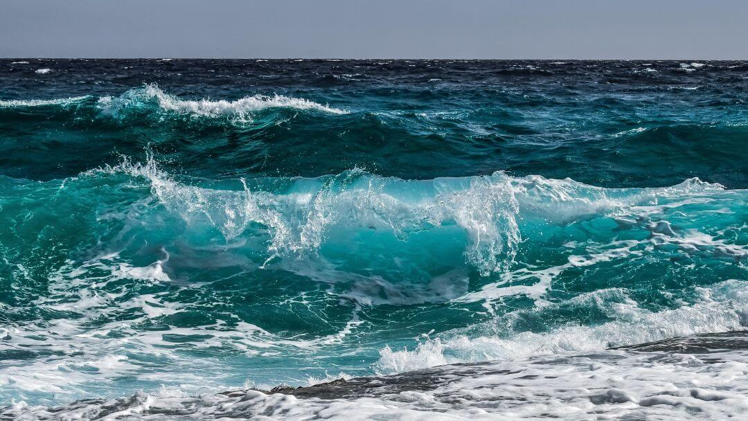 Schwimmen im Meer der Verrücktheit …