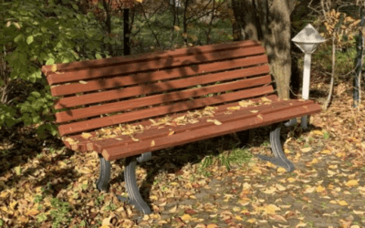 Neue Gartenbänke – Was fördert eigentlich der Förderkreis?