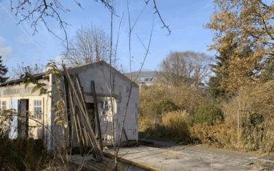 Wie die Idee vom Gewächshaus weiterging