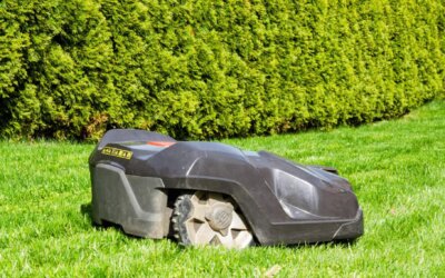 Moderne Zeiten – Betrachtungen unseres Gärtners